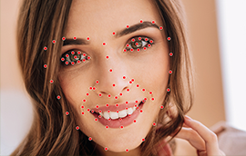 焦点平台人脸关键点标注